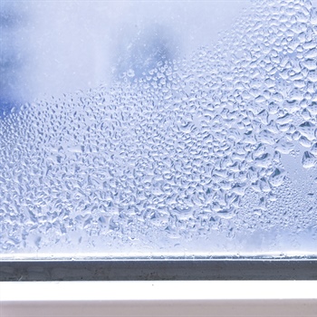 Why Do I Have Condensation On the Inside of My Windows?