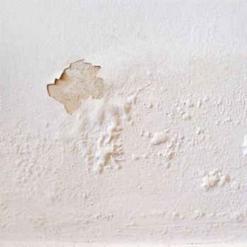 Where Is Your Home’s Moisture Damage Coming From?