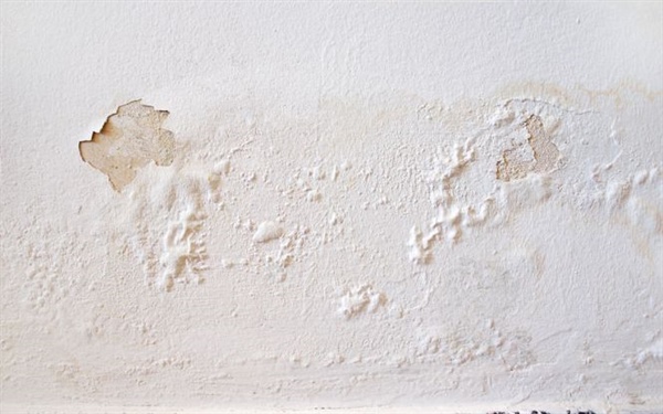 Where Is Your Home’s Moisture Damage Coming From?