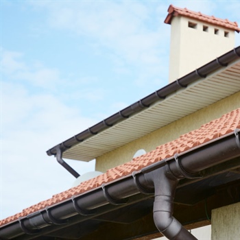 How Gutter Health Influences Your Landscaping—and What to Do to Improve Both