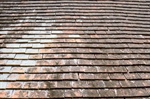 Mold on Your Roof: Causes and Solutions