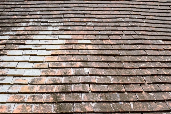 Mold on Your Roof: Causes and Solutions