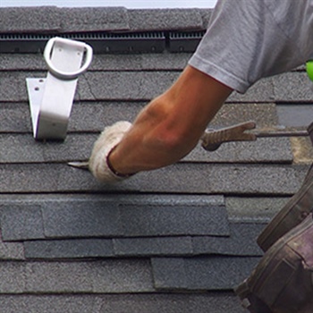 How to Prevent Shingle Moss From Growing On Your Roof