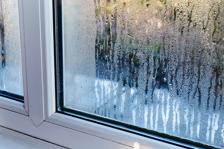 Window With Condensation