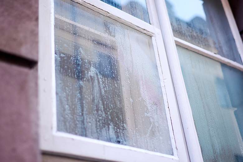 Window With Condensation
